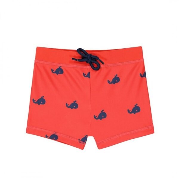 Boys Whale Swim Shorts @ Little'Uns Retail Ltd