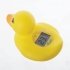 Duck Bath & Room Thermometer