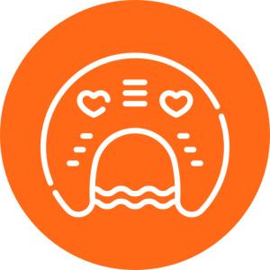 Maternity and Support Pillows