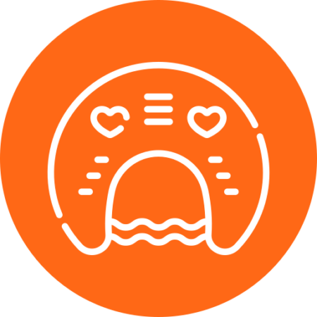 Maternity and Support Pillows