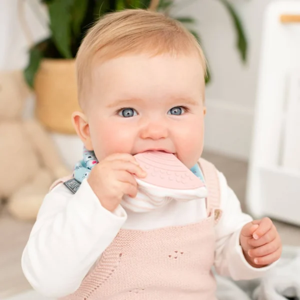 Cheeky Chompers Teething Dribble Bib