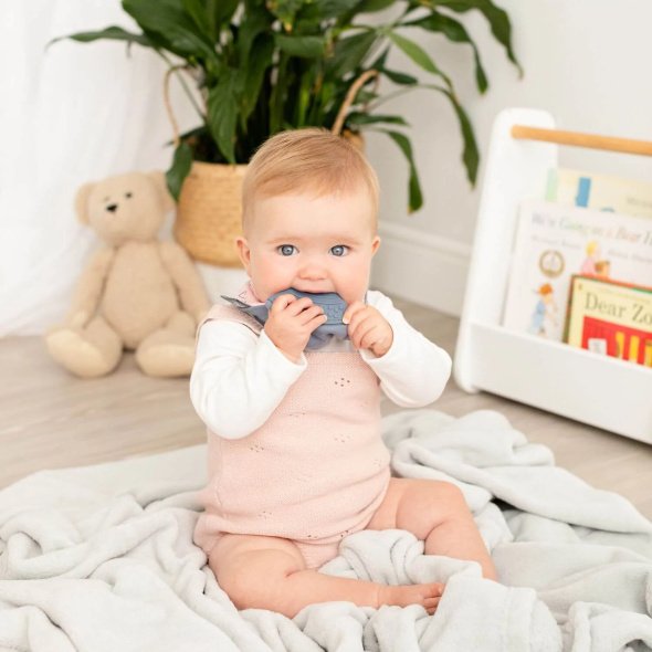 Cheeky Chompers Teething Dribble Bib