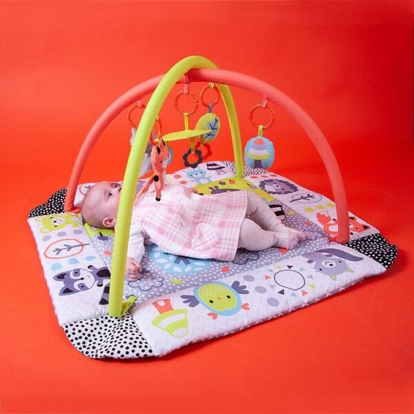 Red Kite Peppermint Trail Ball Play Gym