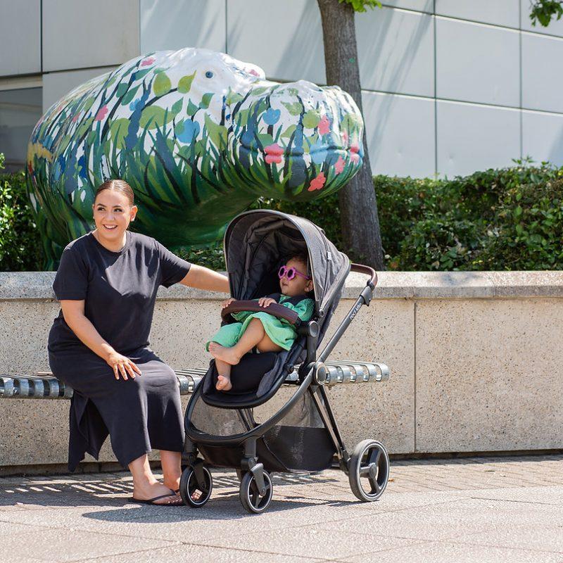 Push Me Pace 3 In 1 Travel System With Infant Carrier - Icon