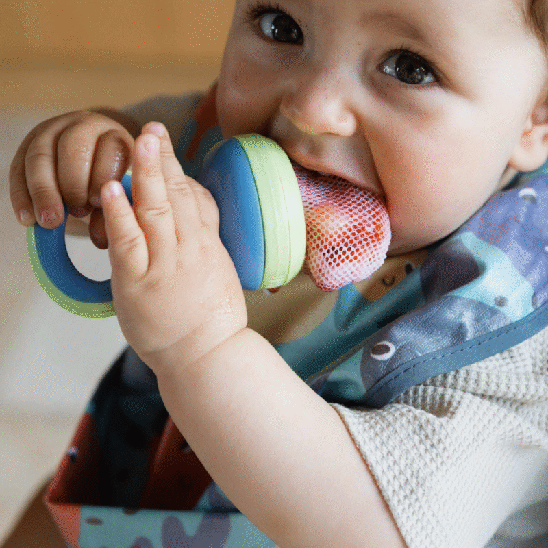Nuby Garden Fresh Nibbler