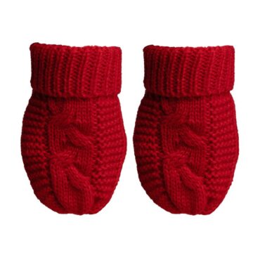 Blue Winter Mittens (copy)