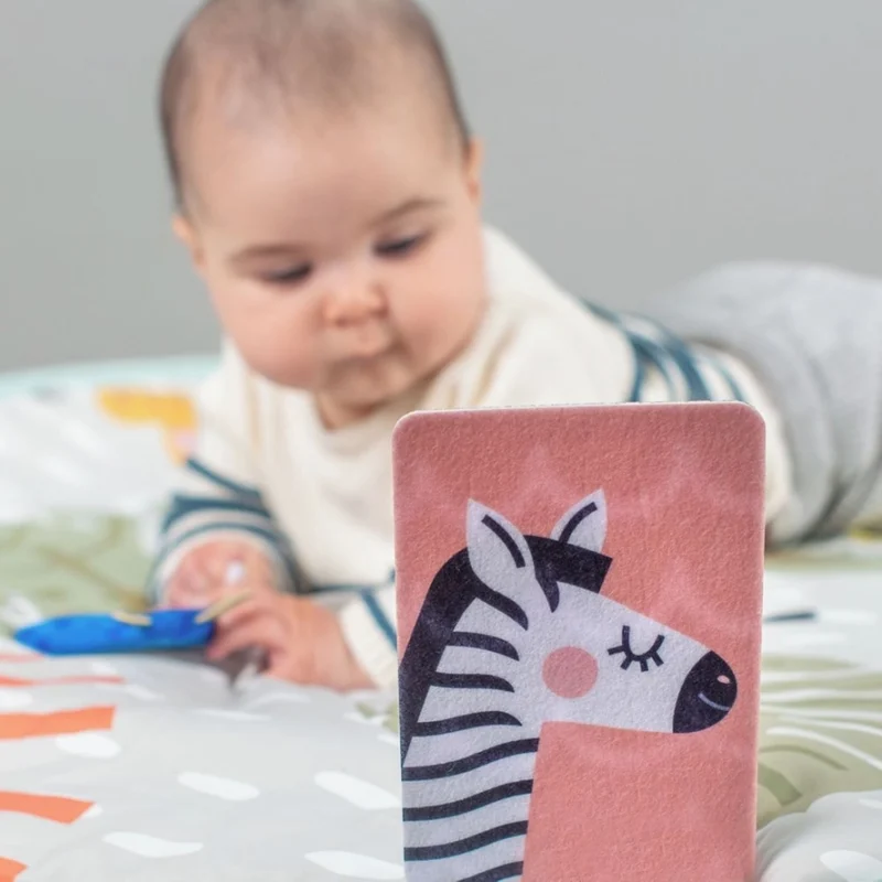 Taf Toys My 1st Tummy-time Cards