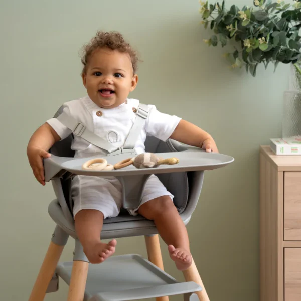 Clair De Lune 6in1 Eat & Play High Chair