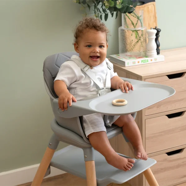 Clair De Lune 6in1 Eat & Play High Chair