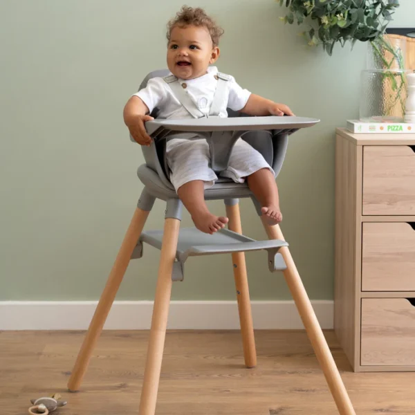 Clair De Lune 6in1 Eat & Play High Chair