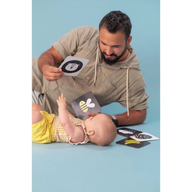 Taf Toys My 1st Tummy-time Cards
