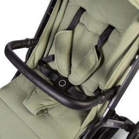 Red Kite Push Me Astro- Sage