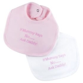 Dandelion Pack Of 2 Bibs (copy)