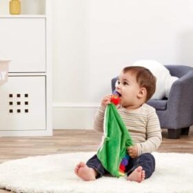 Tiny And Very Hungry Caterpillar Comfort Blanket