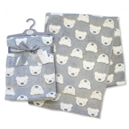 Blue Printed Teddy Blanket (copy)