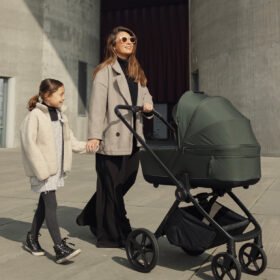 Venicci Claro Travel System Bundle- Forest