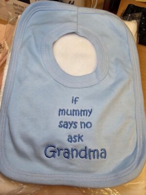 Ask Grandma Bib- Blue