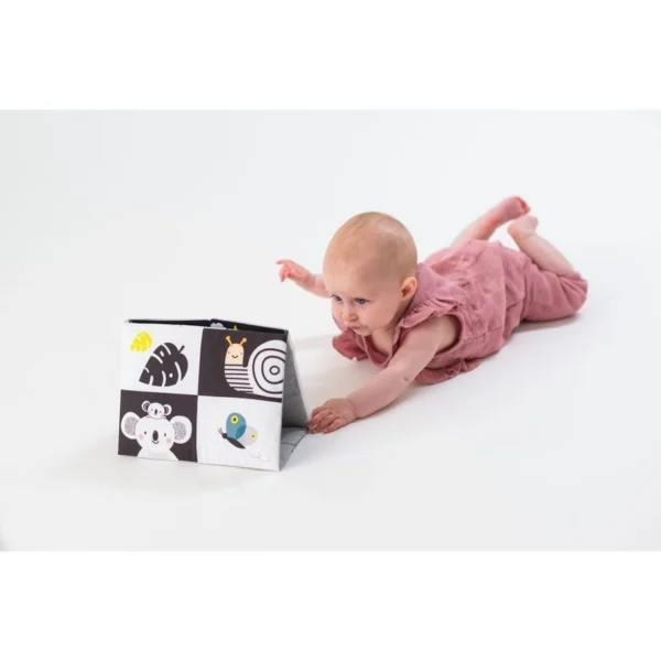 Tummy-time Mirror Book