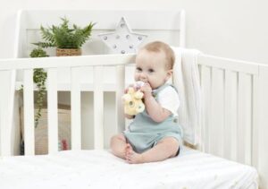 Disney Baby Lion King Ring Rattle