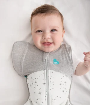 Swaddle Up™ Transition Bag- All Seasons