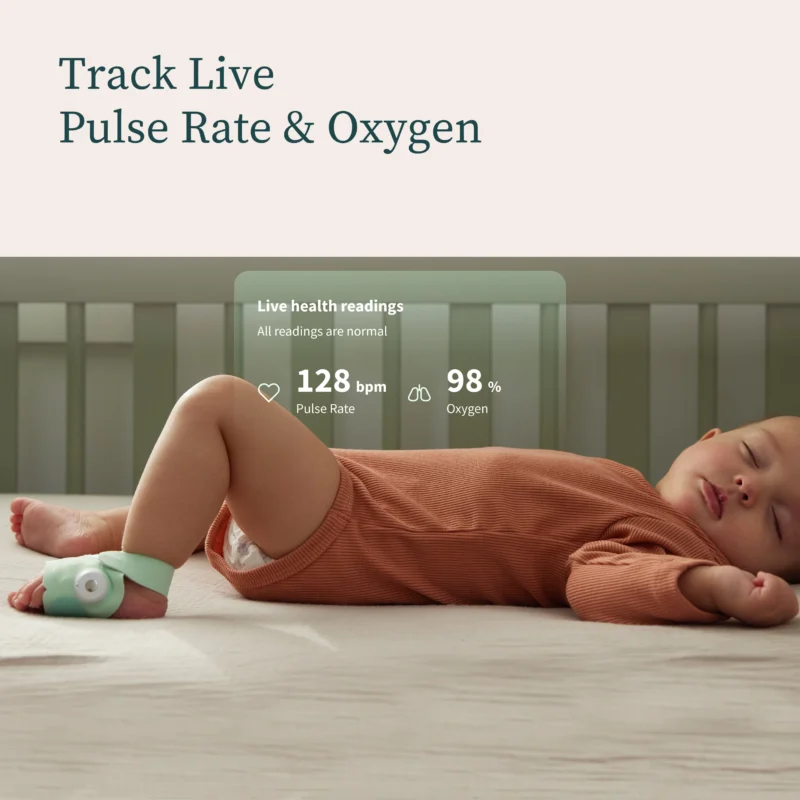 Owlet Dream Sock ™ + Cam® 2 Bundle - Mint
