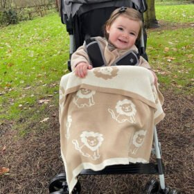 Reversible Lion Knitted Blanket