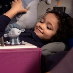 Sleepy Sheep – Lullabies From The Meadow Sleepy Friends