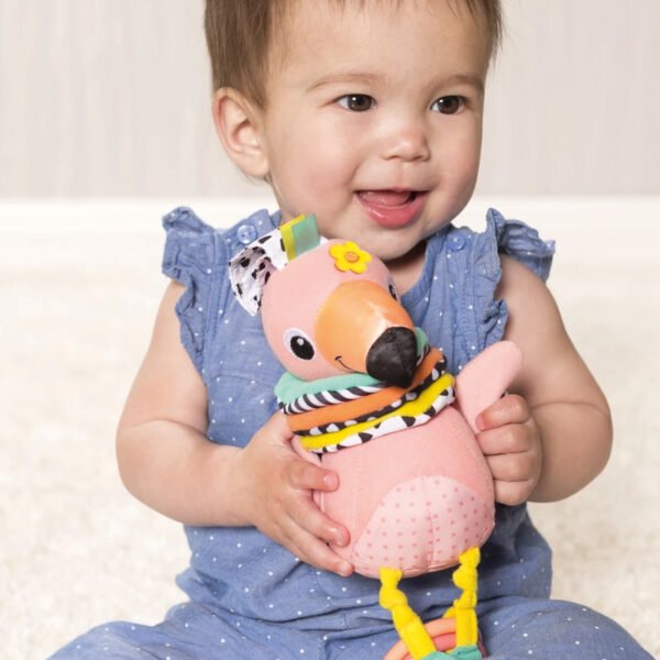 Infantino Hug And Tug Musical Flamingo