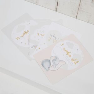 Disney Magical Beginnings Milestones Card Set - Dumbo