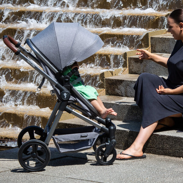 Push Me Savanna I 3 In 1 Travel System - Graphite