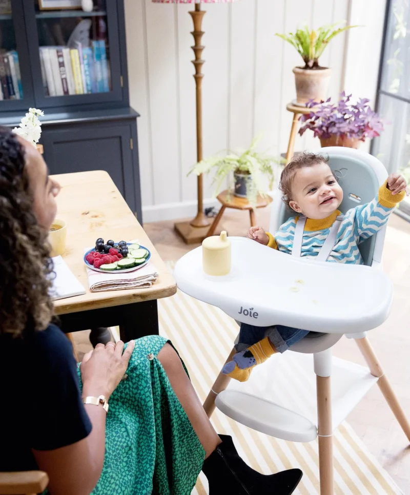 Joie Chestnut™ Highchair - Mist