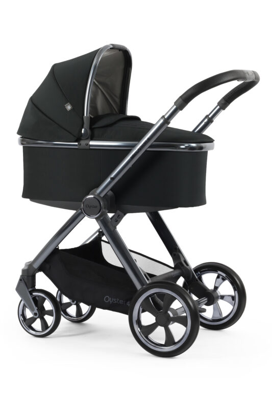 Oyster 4 - Black Olive