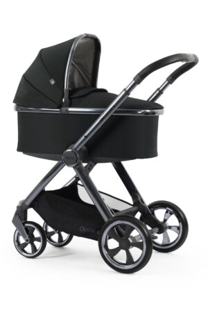 Oyster 4 - Black Olive