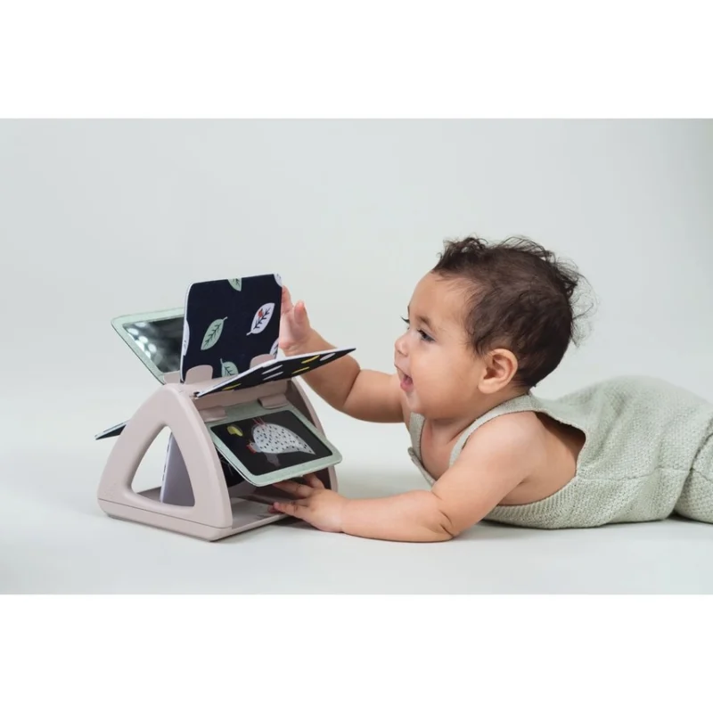 Taf Toys Black & White Spinning Book