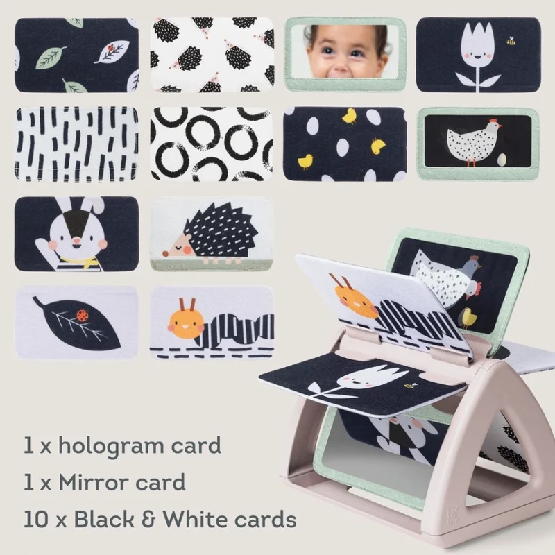 Taf Toys Black & White Spinning Book