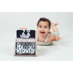 Taf Toys Black & White Spinning Book