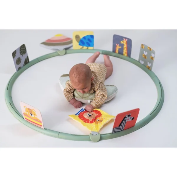 Taf Toys Tummy-time Trainer