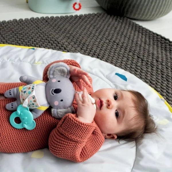 Taf Toys Kimmy The Koala