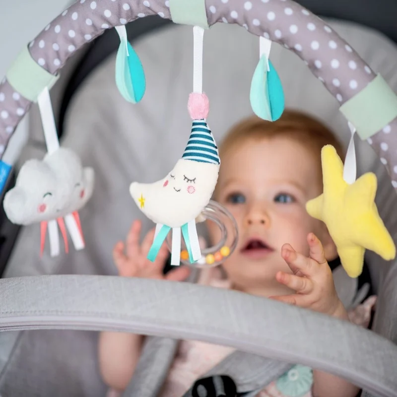 Taf Toys Mini Moon Arch