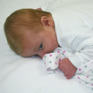 Muslinz 12 Pack Muslin Squares Spots – 70x70cm- Violet