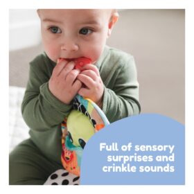 Lamaze Finlee The Frog Look Book