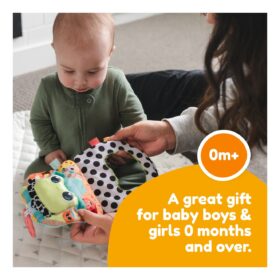 Lamaze Finlee The Frog Look Book