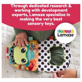 Lamaze Finlee The Frog Look Book