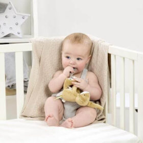 Guess How Much I Love You Little Nutbrown With Silicone Teether