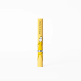 Matchstick Monkey Baby Electric Sonic Toothbrush Ludo Lion