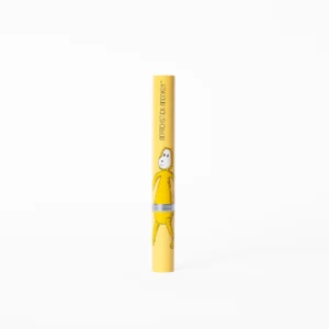 Matchstick Monkey Baby Electric Sonic Toothbrush Ludo Lion