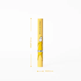 Matchstick Monkey Baby Electric Sonic Toothbrush Ludo Lion