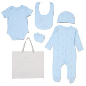 Baby Boys Bears 6 Piece Mesh Bag Gift Set (copy)