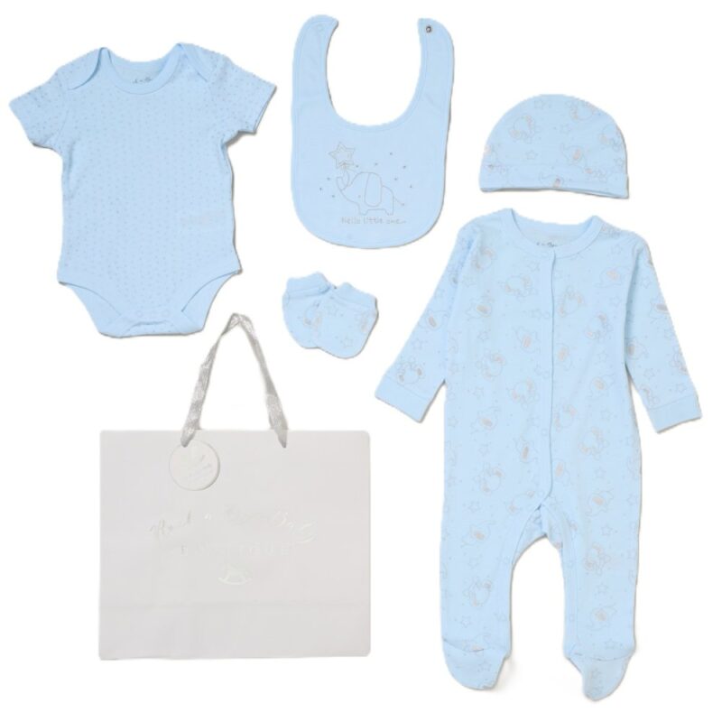 Baby Boys Bears 6 Piece Mesh Bag Gift Set (copy)