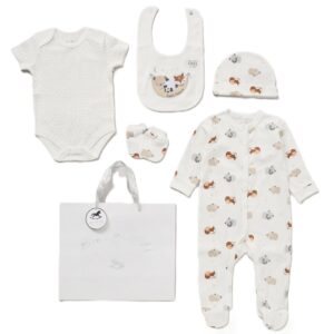 Baby Unisex Sweet Dreams 6 Piece Mesh Bag Gift Set